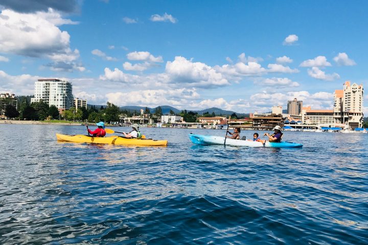 a group of people swimming in a body of water